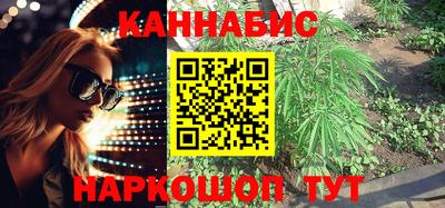сатива Шелехов