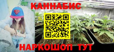 сатива Шелехов