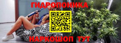 гидра Шебекино