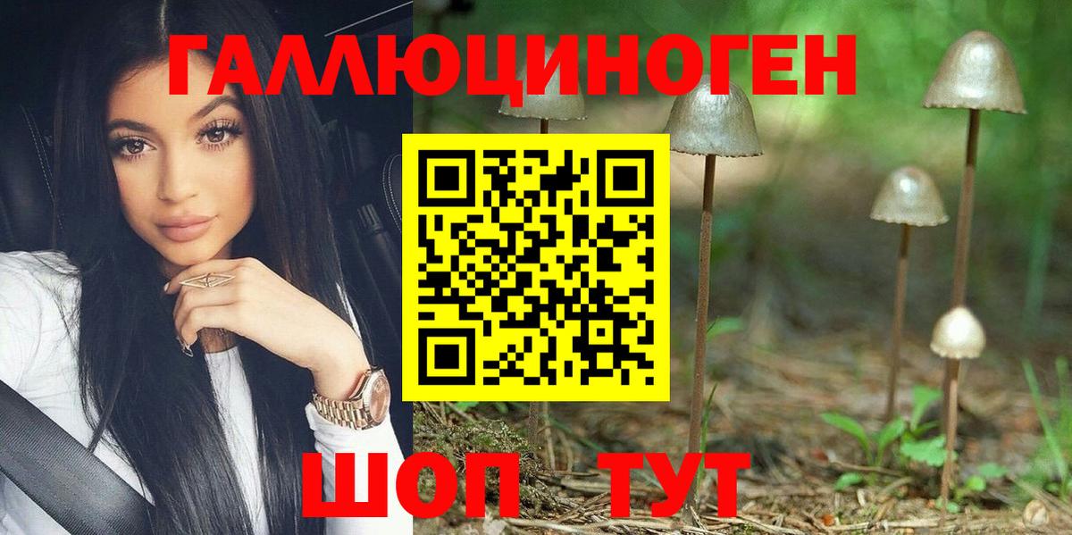 Псилоцибиновые грибы прущие грибы Ртищево