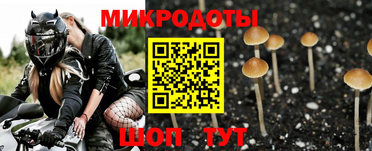 Галлюциногенные грибы прущие грибы  Галлюциногенные грибы Magic Shrooms  Ртищево  Вход с VPN 